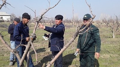 "Dolzarb 15 kunlik" tadbiri doirasida Jizzax viloyat O’simliklar karantini va ximoyasi boshqarmasi tomonidan tadbirlar amalga oshirildi.