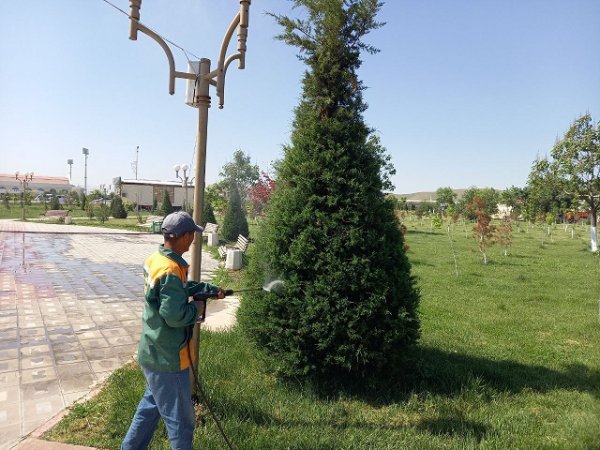 " Dolzarb 15 kunlik" tadbirlari uyushqoqlikda olib borilmoqda