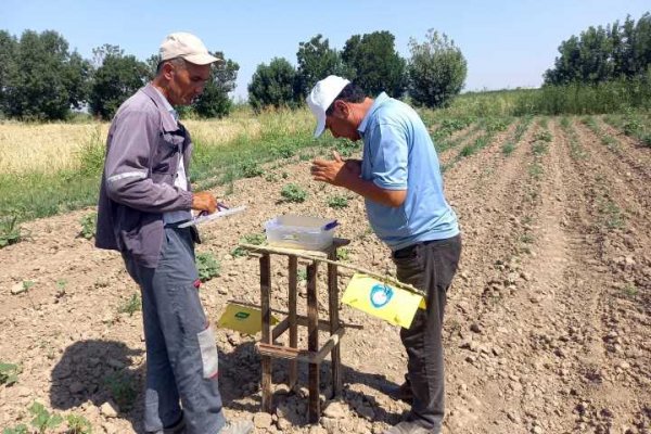 Begona o't va zararli hasharotlarga qarshi biotexnik tadbir