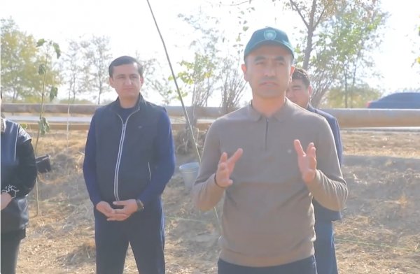 Dala chеti madaniyati