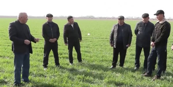 G'ALLADAN MO'L HOSIL - ASOSIY MAQSAD